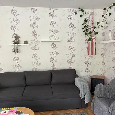 Omakotitalo Kiteen Keskustassa